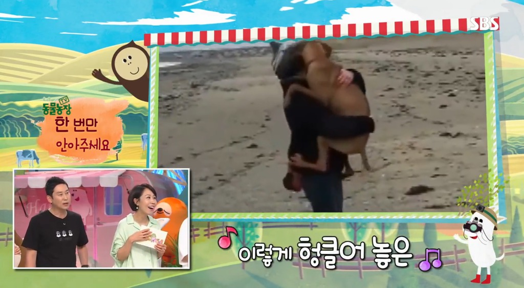 왜 반려견이 가족인가? | 인스티즈