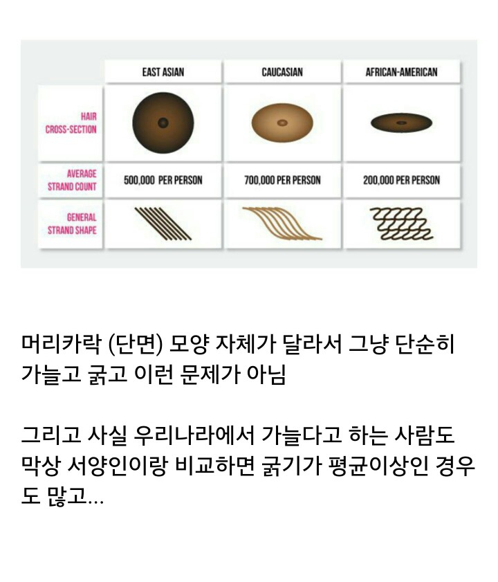 동양인과 서양인의 머리카락 차이 | 인스티즈