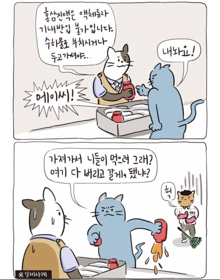 공항 직원들이 겪는 진상.jpg | 인스티즈