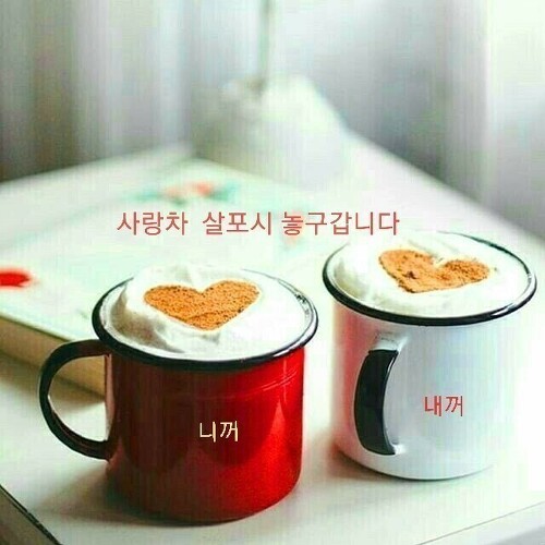 가빈라이브 이미지