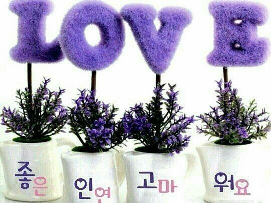 좋은아침 이미지