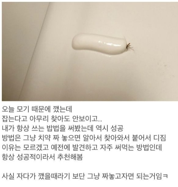 자기 전 모기 대처법 ...가생이펌 | 인스티즈