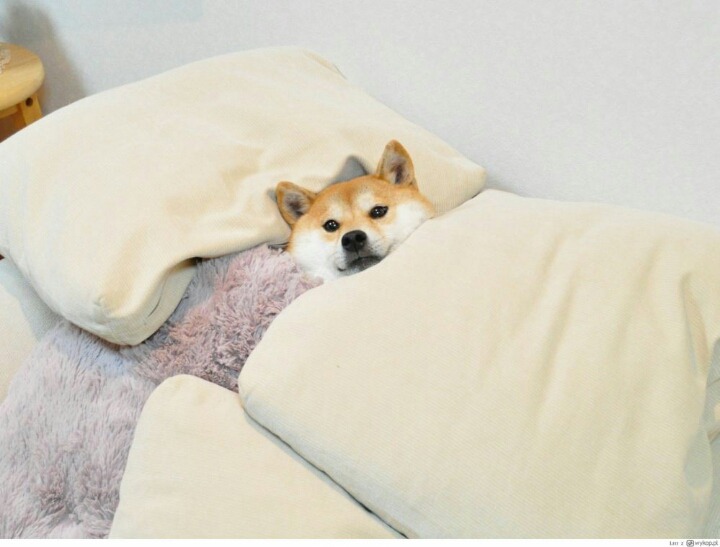 여친이 넘 야해요.JPG | 인스티즈