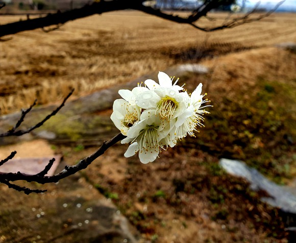 99E5B5375C9F0EB81D463A