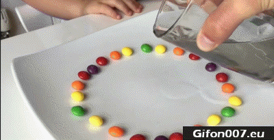 레인보우 스키틀즈에 뜨거운 물을 부으면.gif | 인스티즈