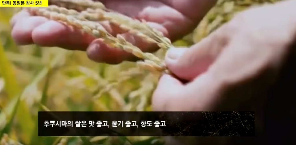 후쿠시마 사고 5년, 한국은 안전한가? (+먹어서 응원하자 리스트) | 인스티즈