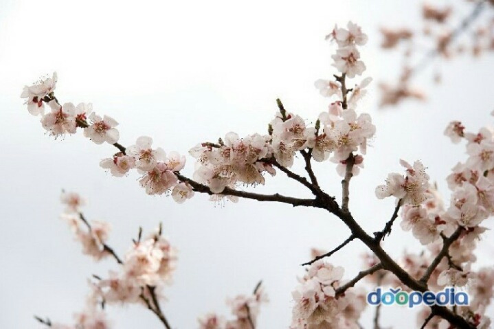 조우현 이미지
