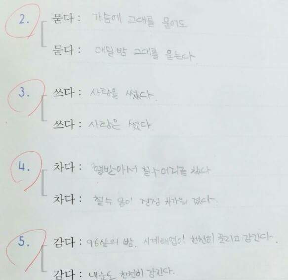 문과의 피가 흐르는 초등학생 | 인스티즈