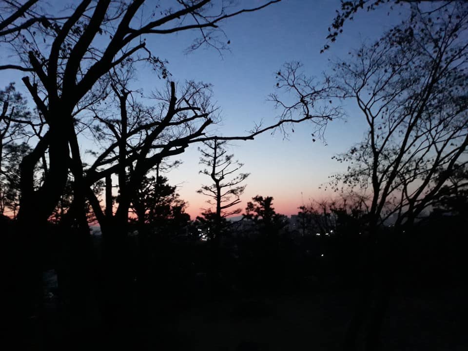 (주)도반 이미지