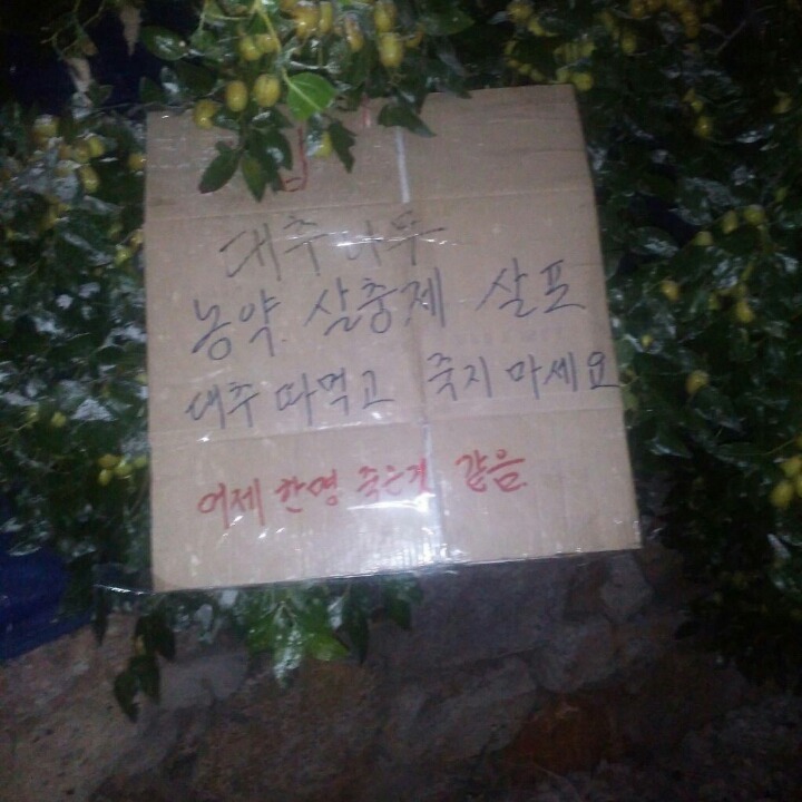 경고문.jpg | 인스티즈