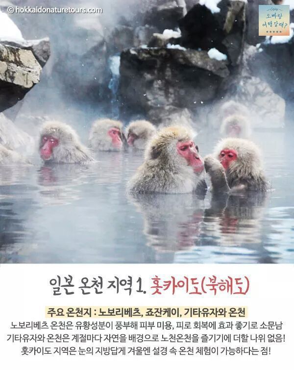 일본 온천 여행의 모든 것 | 인스티즈