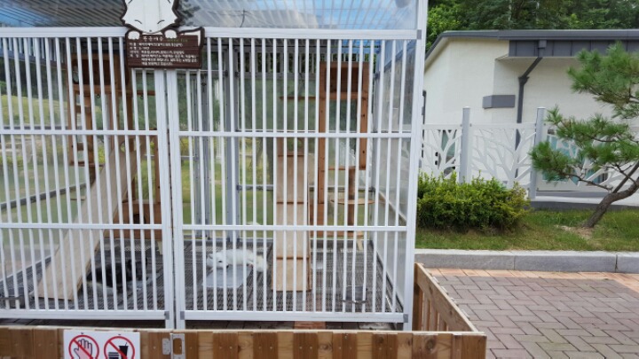 제정신이 아닌듯한 춘천의 한 관광지.jpg | 인스티즈