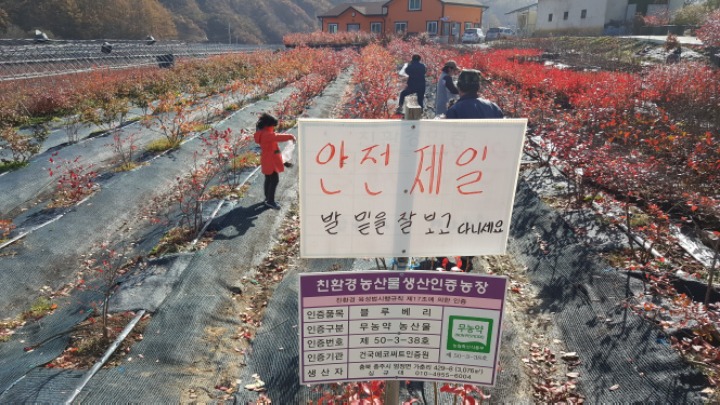 천사농원 이미지