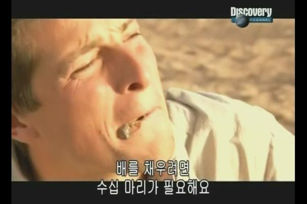 중국 벌레꼬치 리뷰! - 왕푸징거리 혐오음식 상세분석 (혐오주의) | 인스티즈