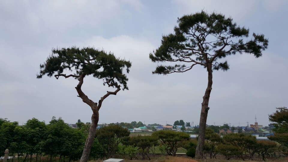 백년해로 이미지